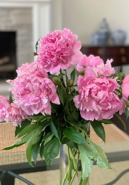 IMG_2951(1)