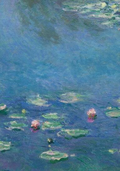 WaterLilies